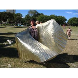 Thez Hamilton with costume wings at the launch of Cultural Fest 07, Strand Park, Townsville, August 2007