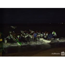 Pacific Islander groups arriving on the beach at Cultural Fest, Strand Park, Townsville, August 2007