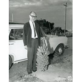 The Mayor, Alderman Harold Phillips displays a bunch of bananas grown at Mt Spec, Townsville, 8th September, 1968