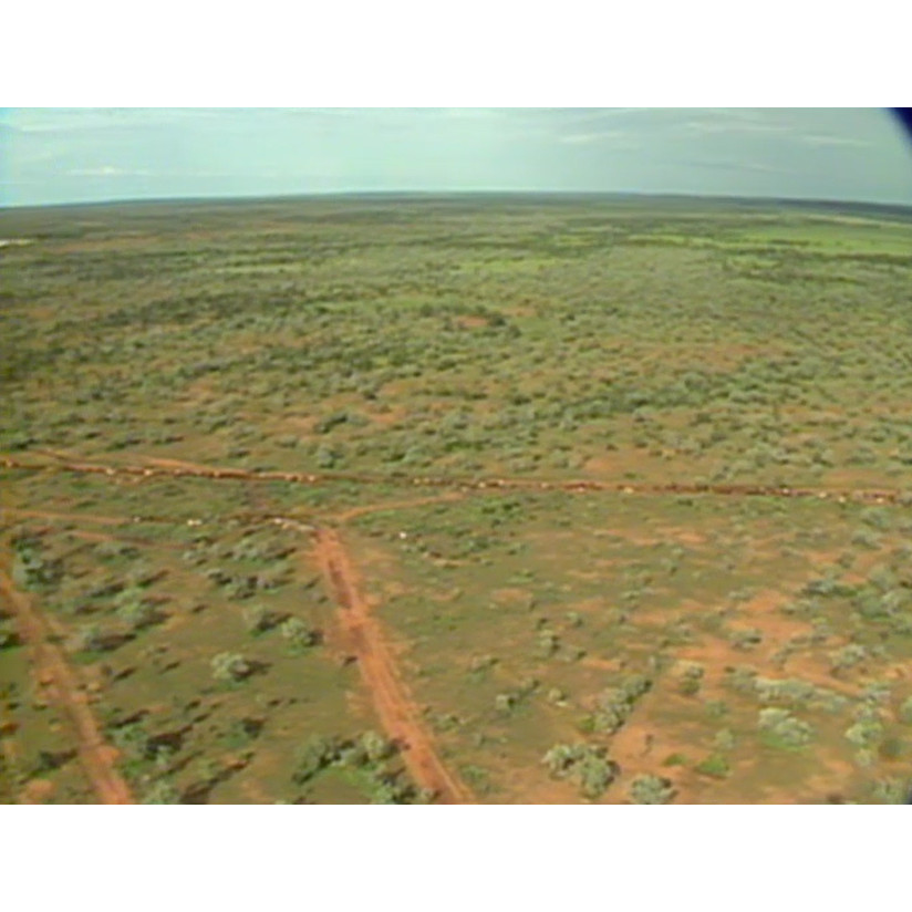 Sherwin Pastoral Company