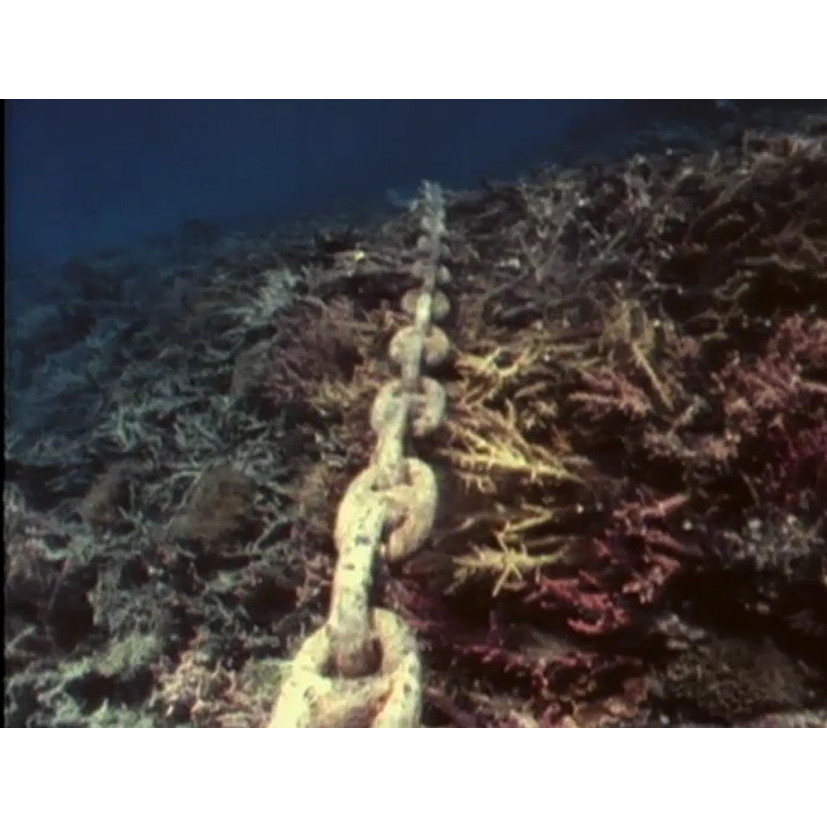 Anchor damage on reef