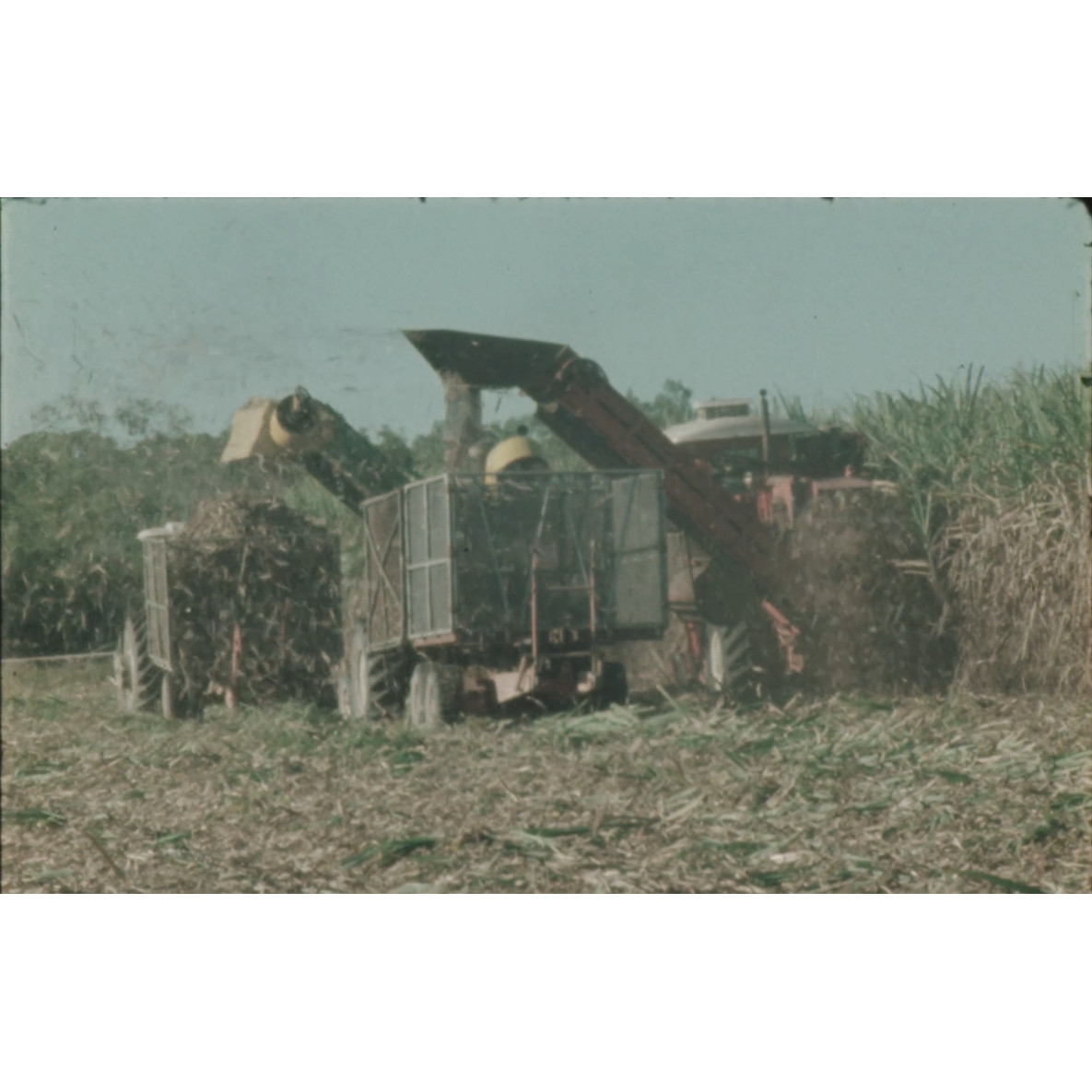 Sugarcane harvesting
