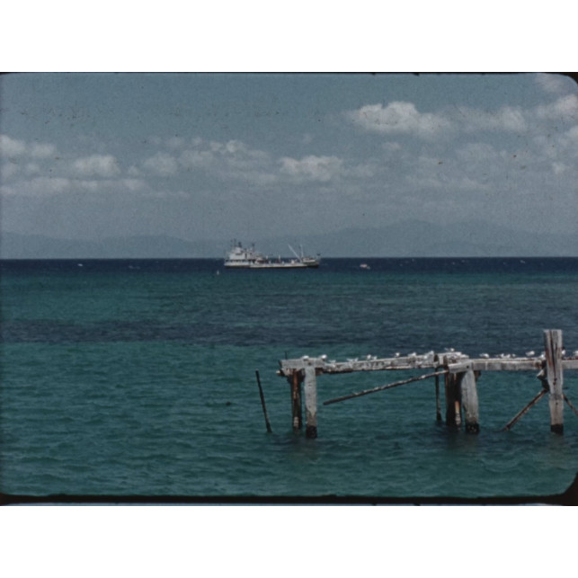 Various tourist and wildlife footage