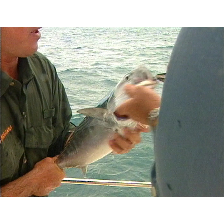 Fish ‘n’ 4 Wheels: series 2 episode 2