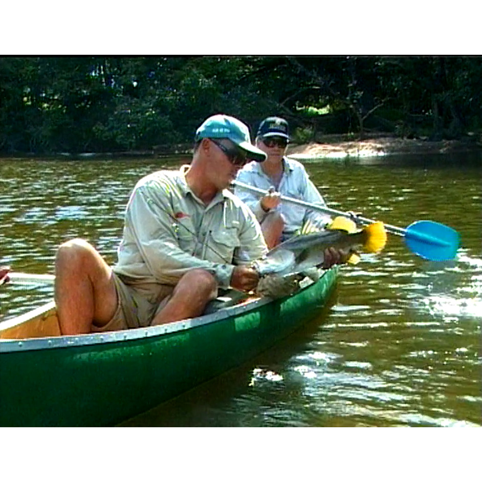 Fish ‘n’ 4 Wheels: series 2 episode 3