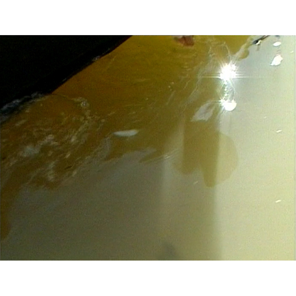 Fish ‘n’ 4 Wheels: series 2 episode 4