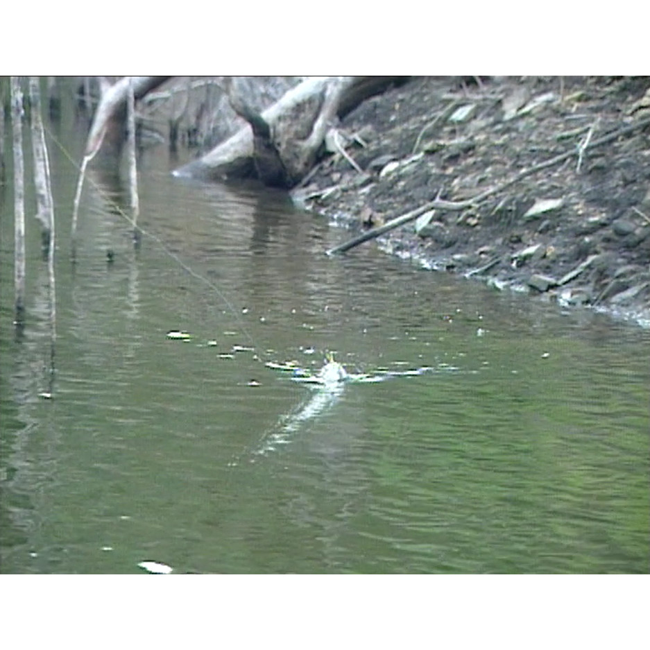 Fish ‘n’ 4 Wheels: series 2 episode 5