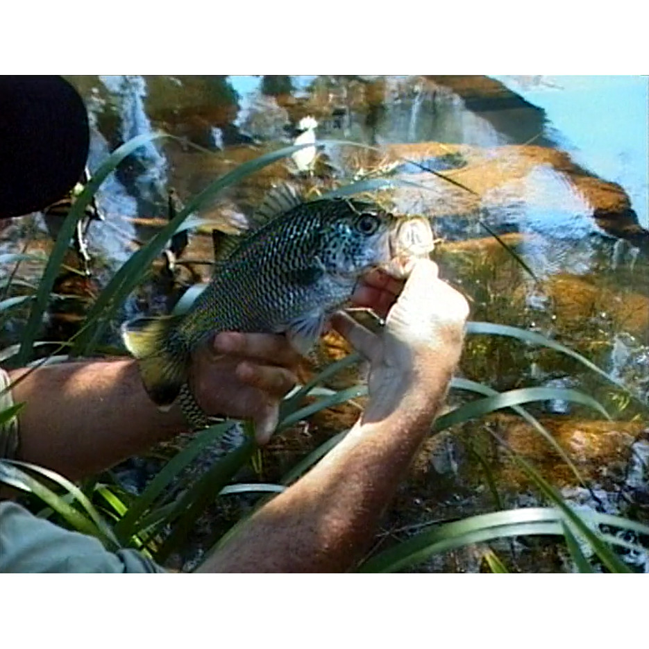 Fish ‘n’ 4 Wheels: series 2 episode 12