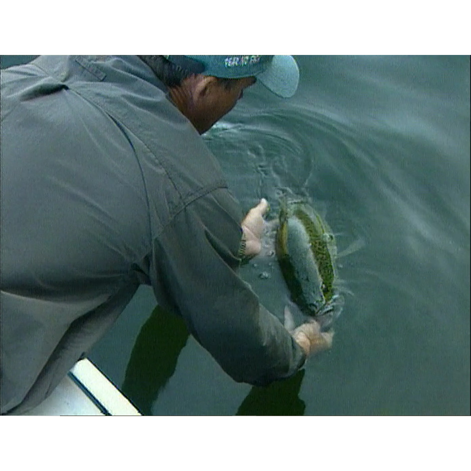 Fish ‘n’ 4 Wheels: series 2 episode 5 master