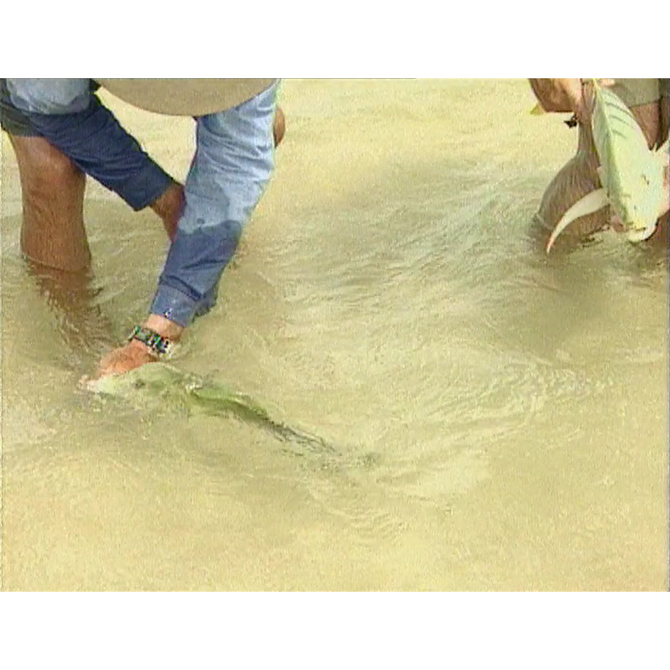 Fish ‘n’ 4 Wheels: series 2 episode 8 master