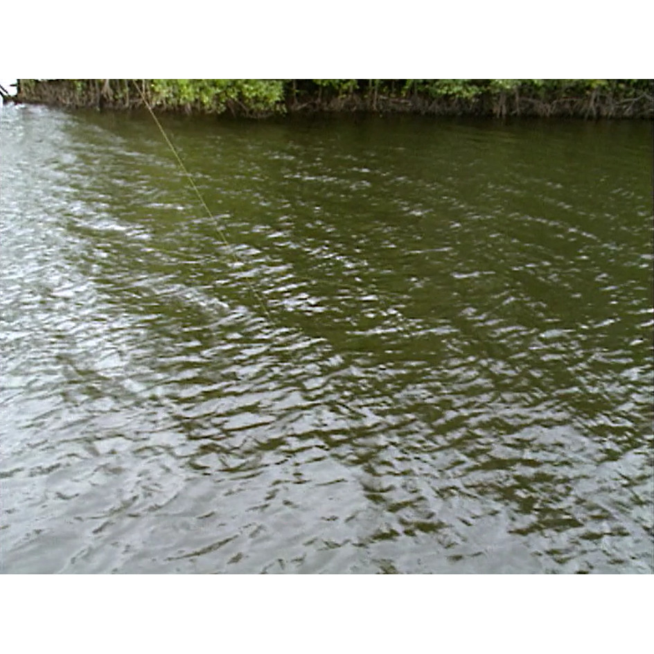 Fish ‘n’ 4 Wheels: series 3 episode 1 master