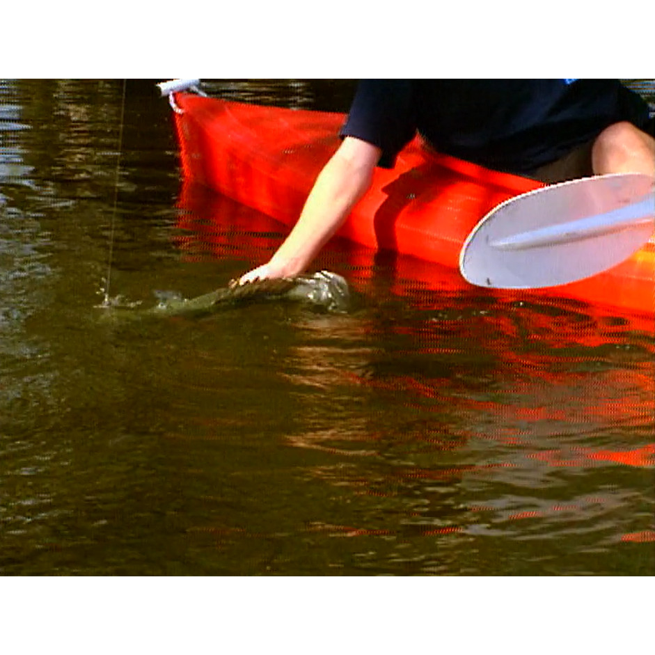 Fish ‘n’ 4 Wheels: series 3 episode 2 master