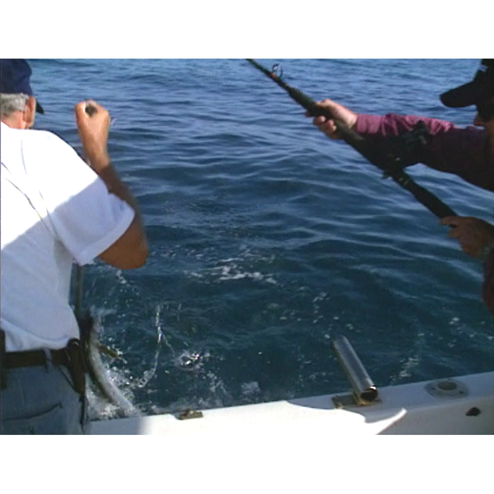 Fish ‘n’ 4 Wheels: series 3 episode 4 master