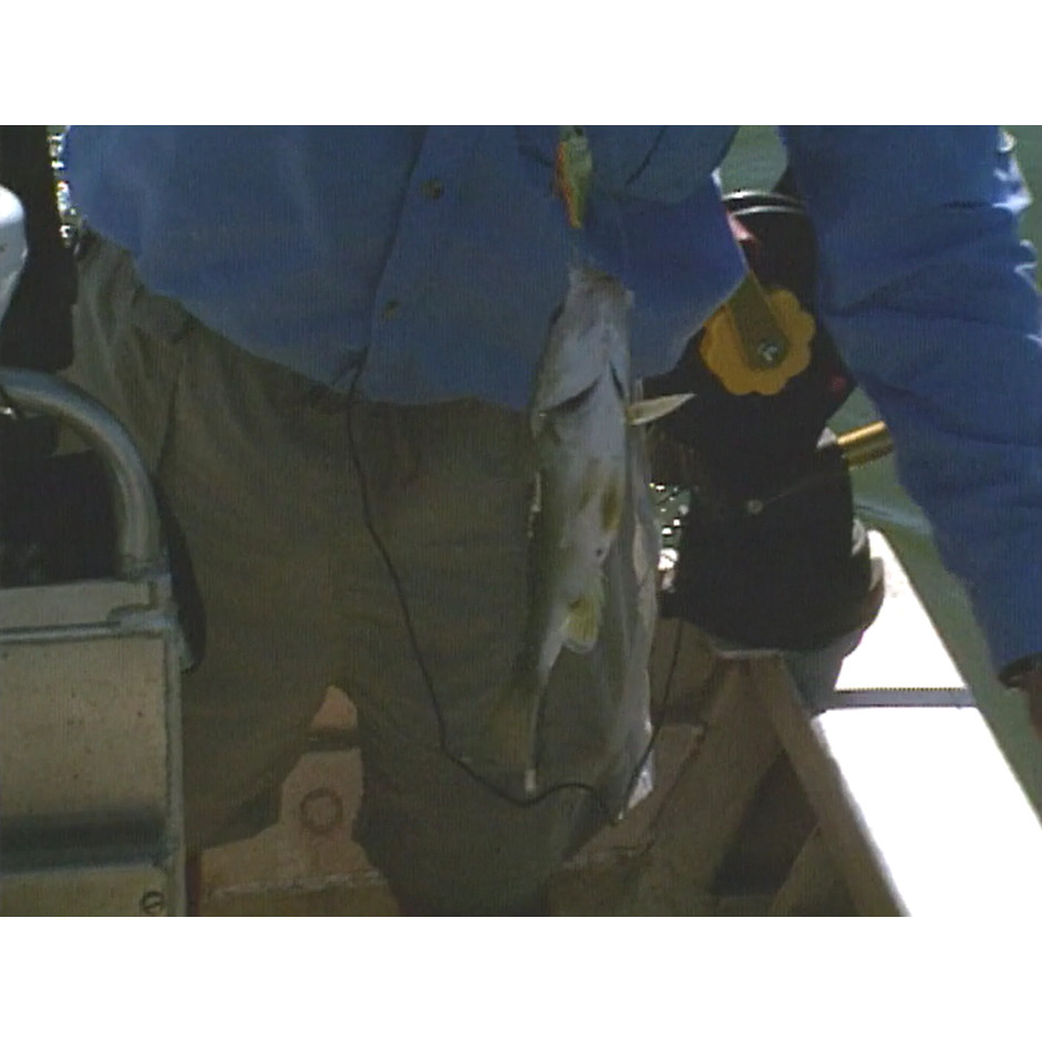 Fish ‘n’ 4 Wheels: series 3 episode 9 master tape