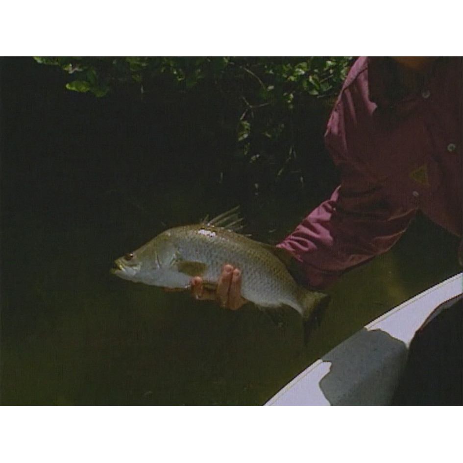 Fish ‘n’ 4 Wheels: series 3 episode 3 master