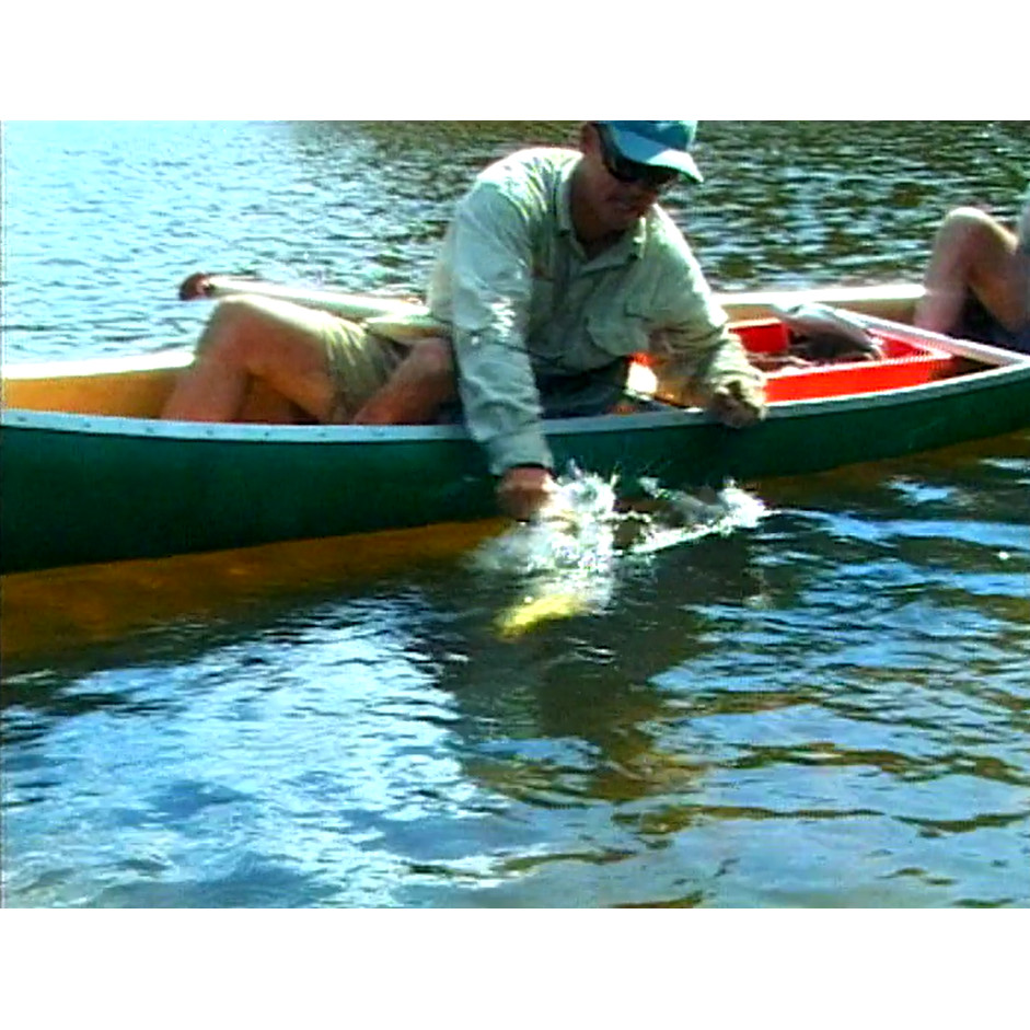 Fish ‘n’ 4 Wheels: series 2 episode 3 master