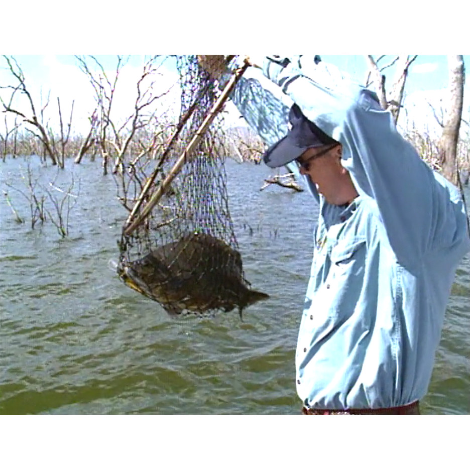 Fish ‘n’ 4 Wheels: series 3 episode 12 master