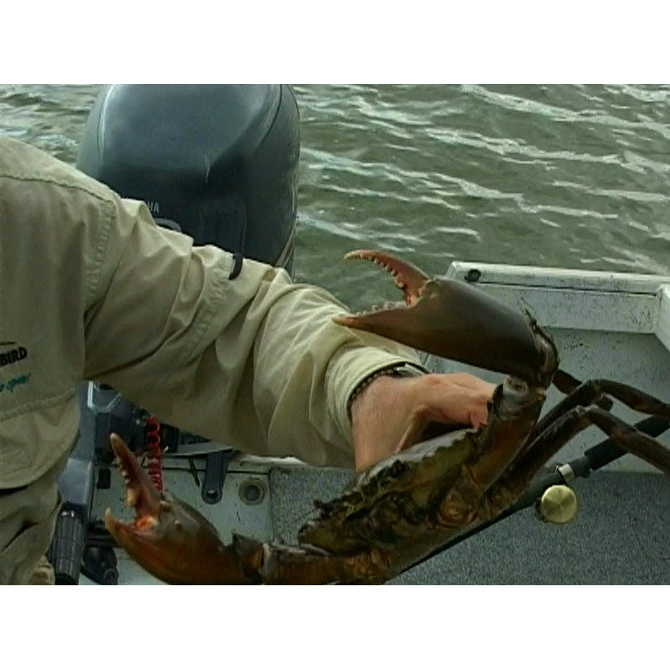 Fish ‘n’ 4 Wheels: series 5 episode 3 master