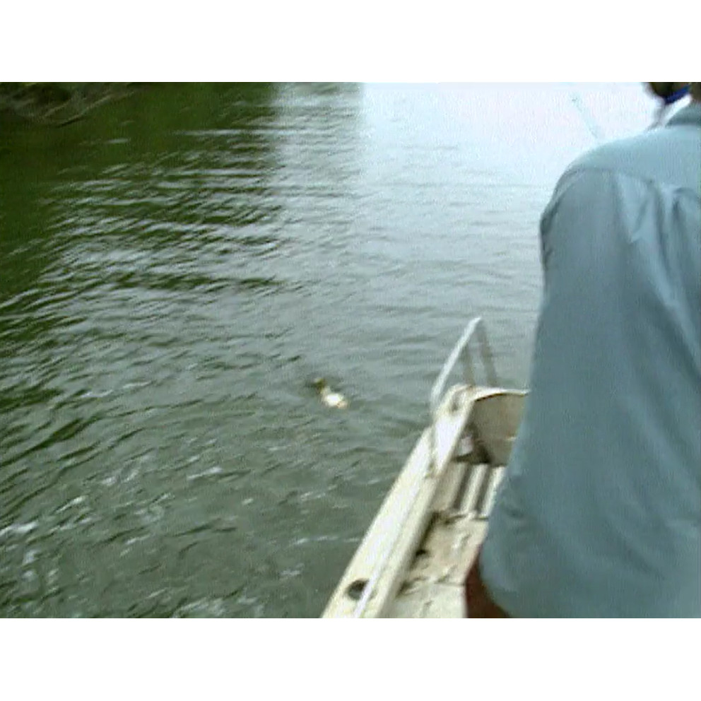 Fish ‘n’ 4 Wheels: series 5 episode 4 master