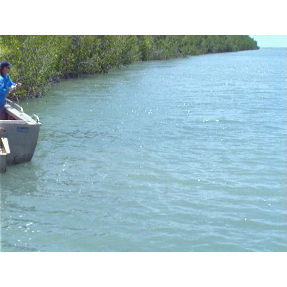 Fish ‘n’ 4 Wheels: series 4 episode 9 master