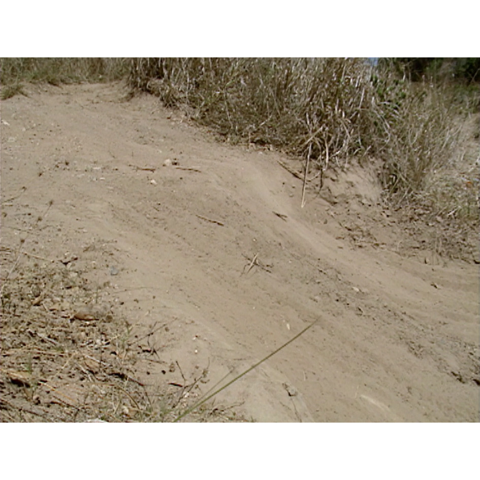 Fish ‘n’ 4 Wheels: four-wheel drive inserts