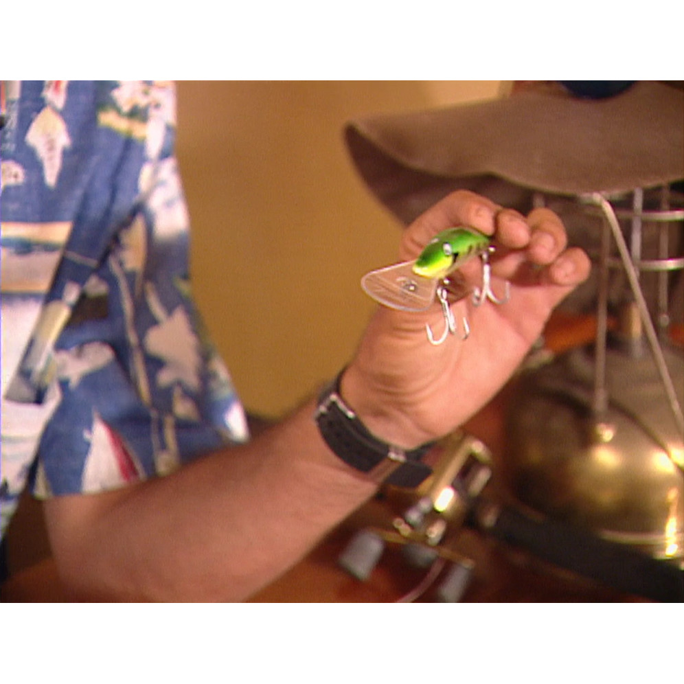 Fish ‘n’ 4 Wheels: Steve Jeston interview