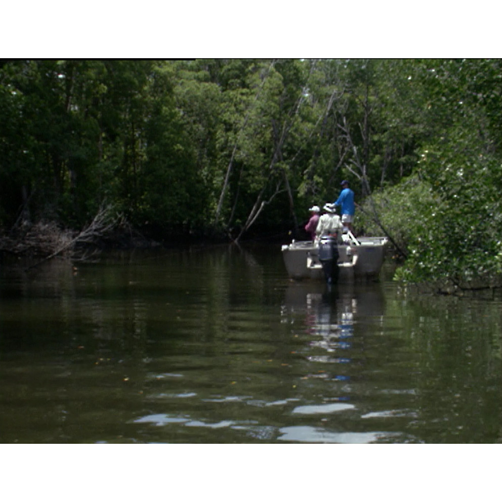 Fish ‘n’ 4 Wheels: Melville Island