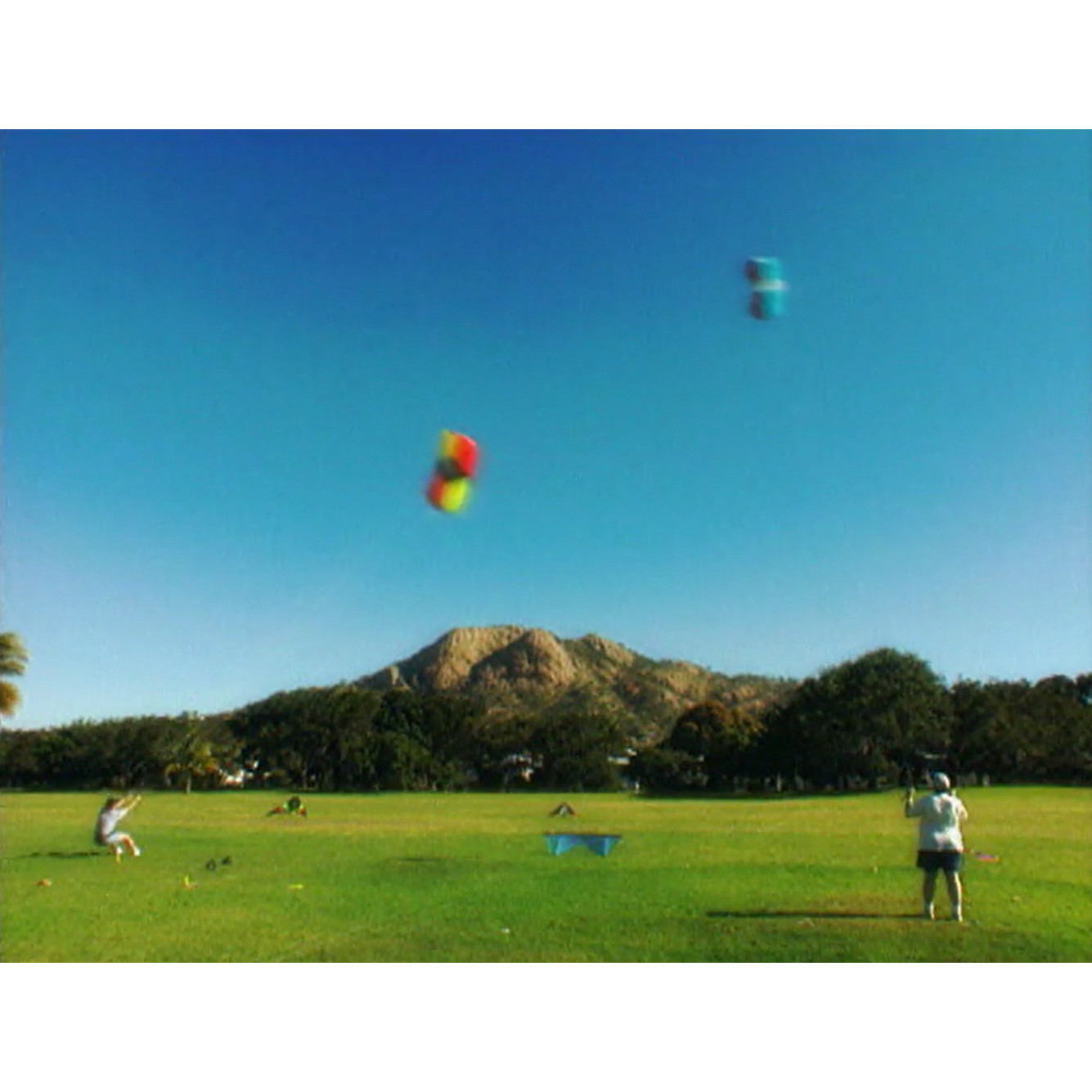 Paul Lyons Productions: Bushland Beach