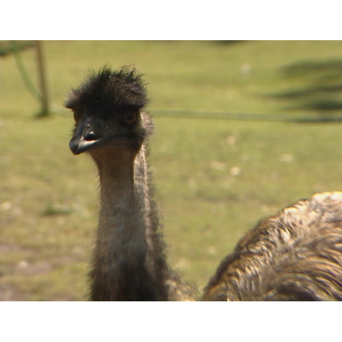 Escott Lodge; Mornington Island