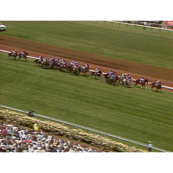 Melbourne Cup 1991: Network Ten coverage