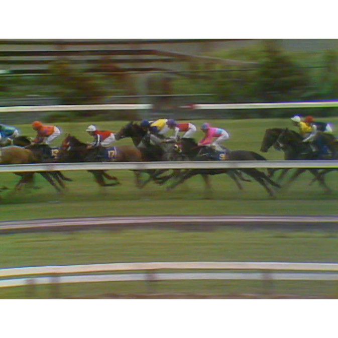 Melbourne Cup 1992: Network Ten coverage