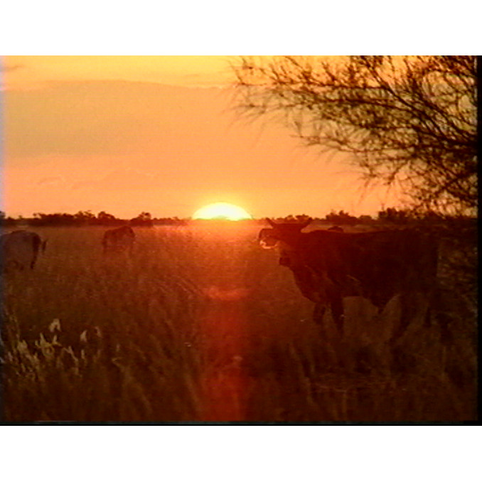 Mount Isa weather backgrounds