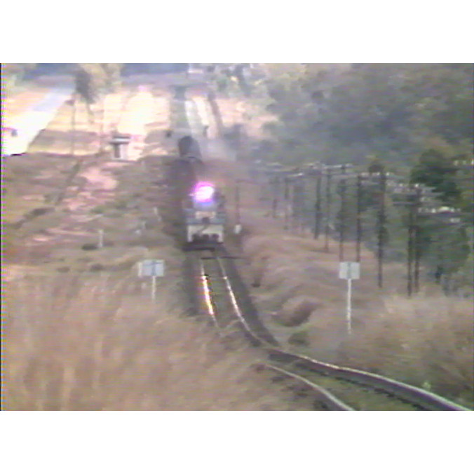 Coal and Queensland