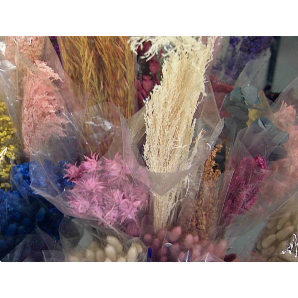 Stock footage: home décor stores