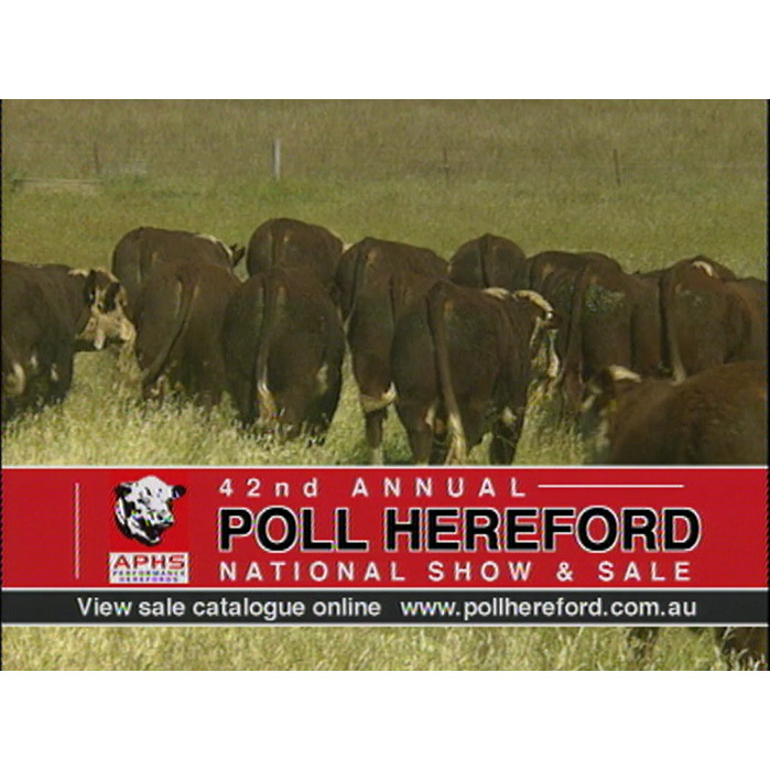 Poll Hereford sale advertisement; Gold Coast tourism footage