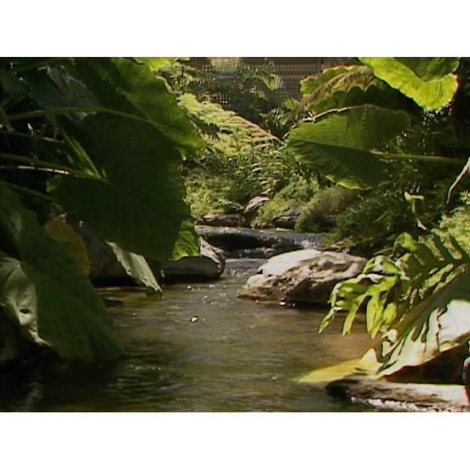 Stock footage: coastal attractions