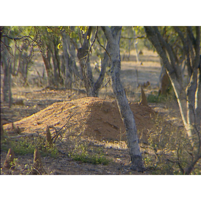 News file: Georgetown