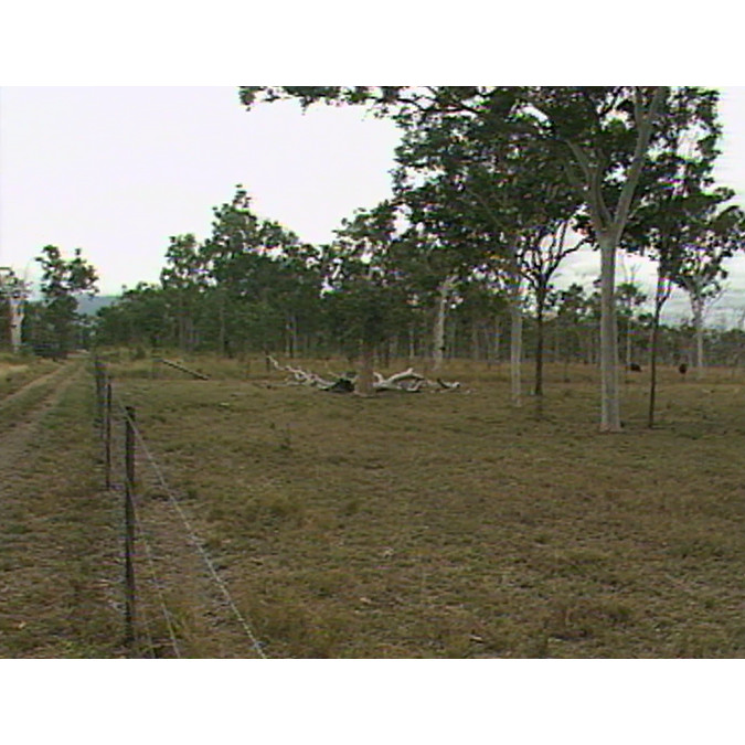 News file: CSIRO Field Day