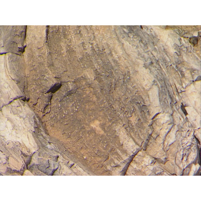 NQTV news file: Longreach