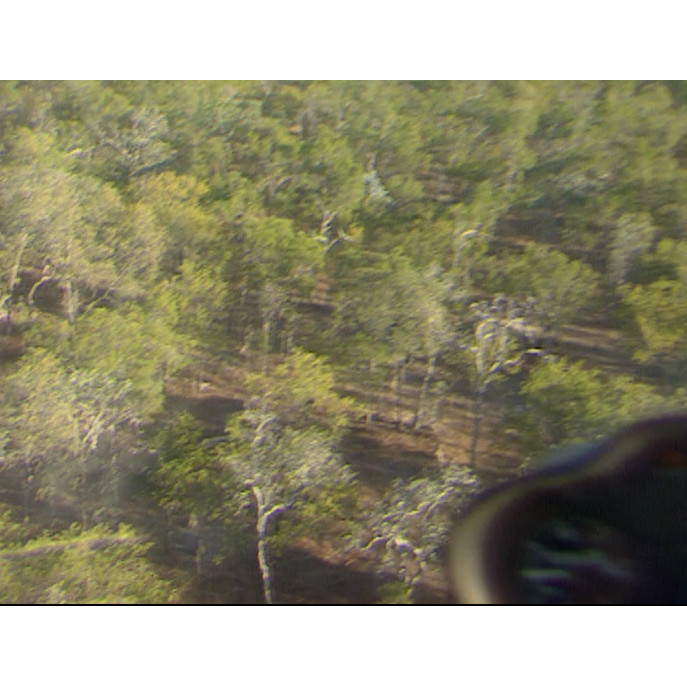 News file: aerial mustering