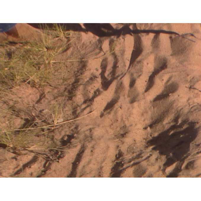 News file: John Woodburn