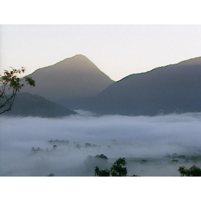 Stock footage: foggy landscape