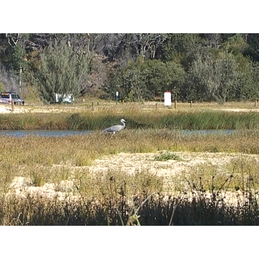 24th Toyota Fraser Island Fishing Expo