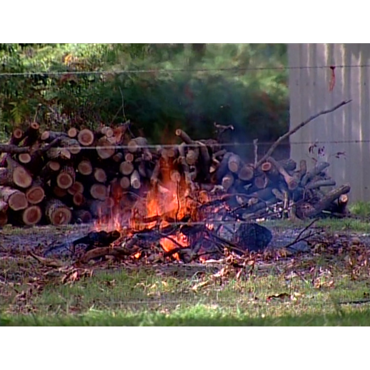 Stock footage: campfire