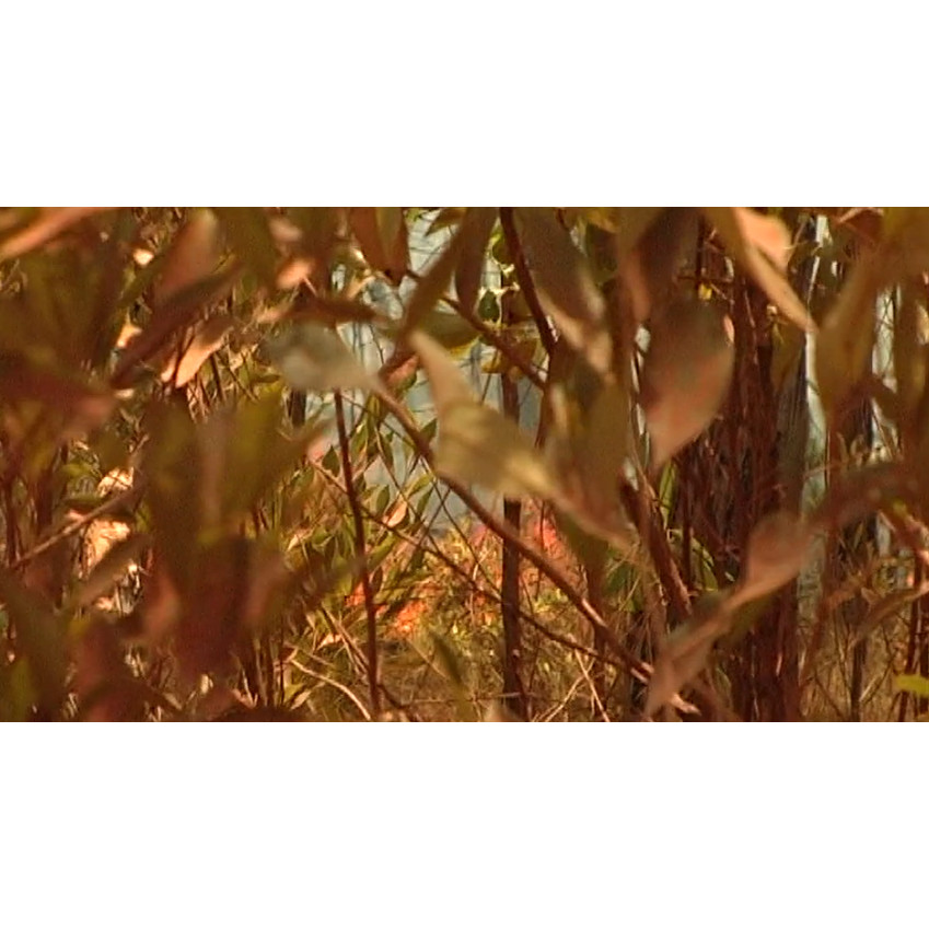 Just4Kids Motor Trail: Cape York Safari 2010