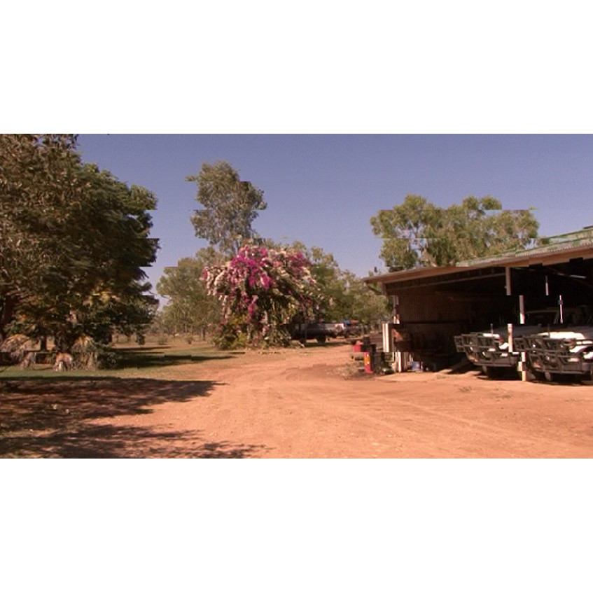 Stock footage: shed