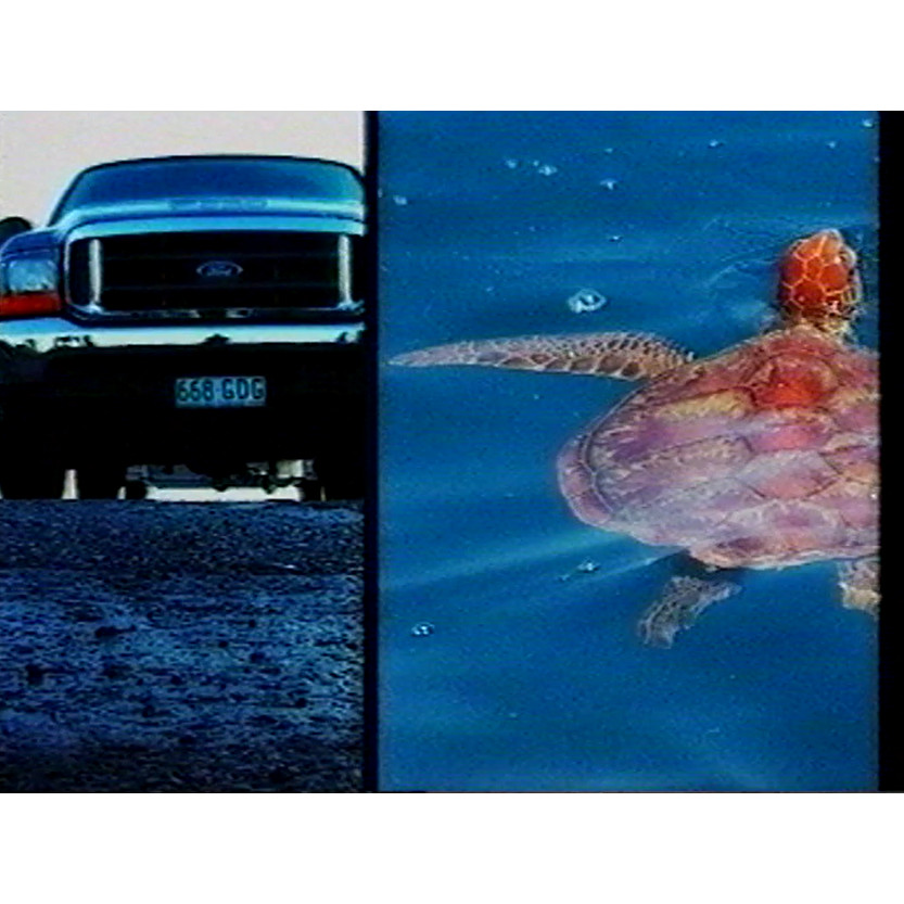 Fish 'n' Four Wheels: series 3 promo tape