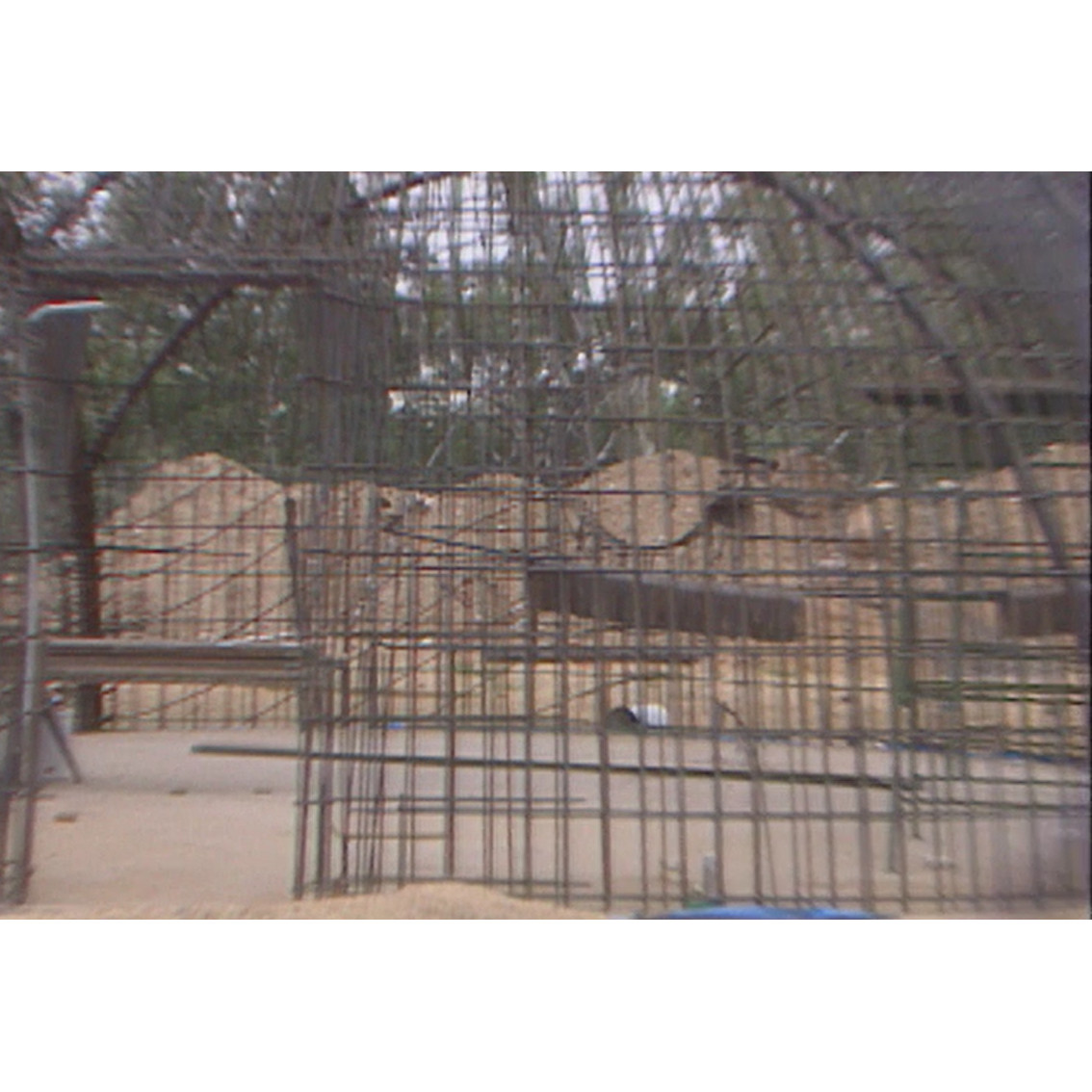 Brewarrina interviews