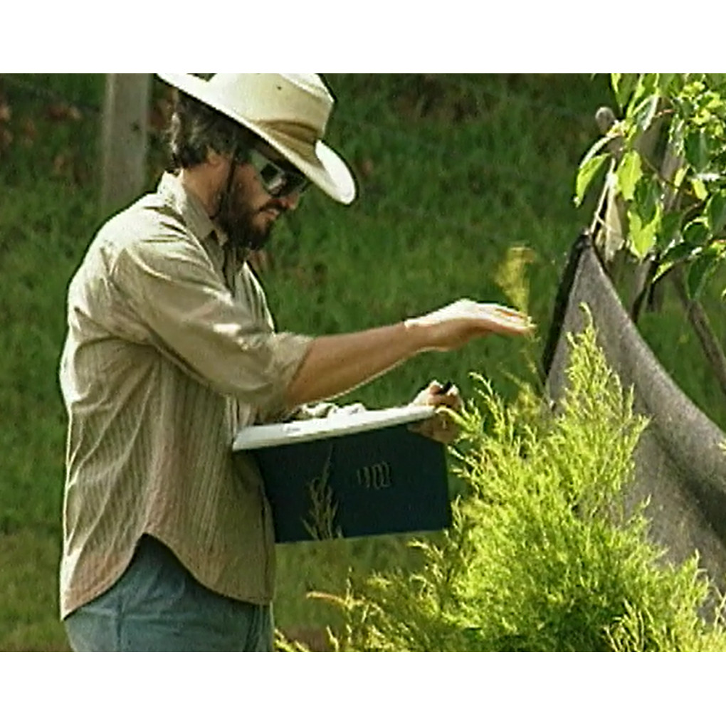 Pumping up the volume