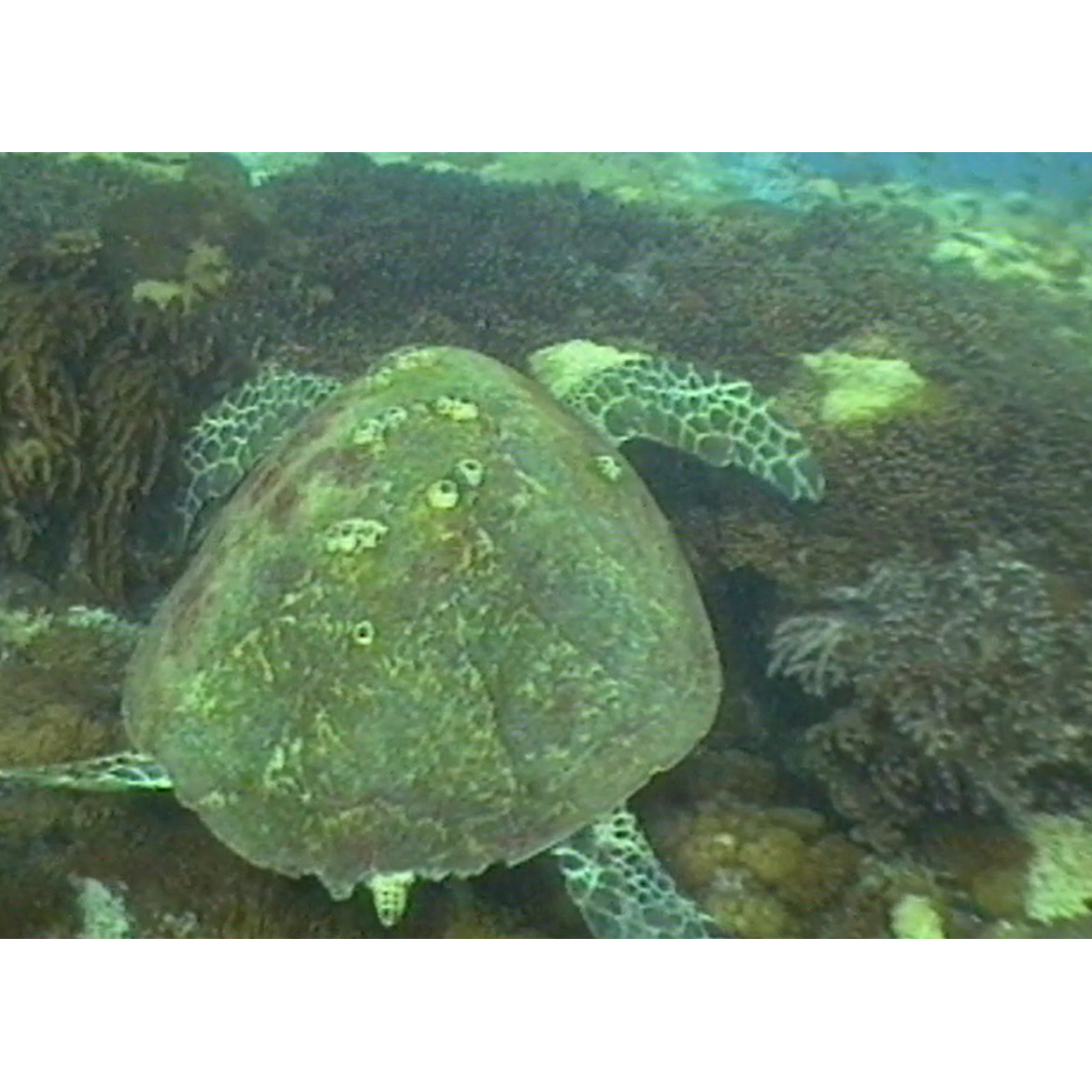 News file: unemployment